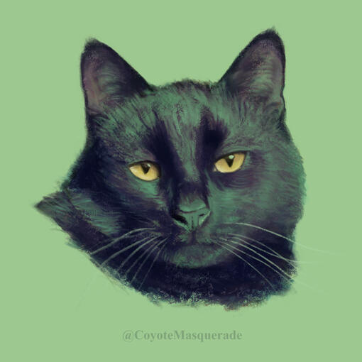 Pet portrait that was hand painted digitally. The portrait is a bust of a black cat and is in a realistic style. The color pallet has mostly greens with some darker reds, purples, black, and yellow for the eyes. The background is a mint green.